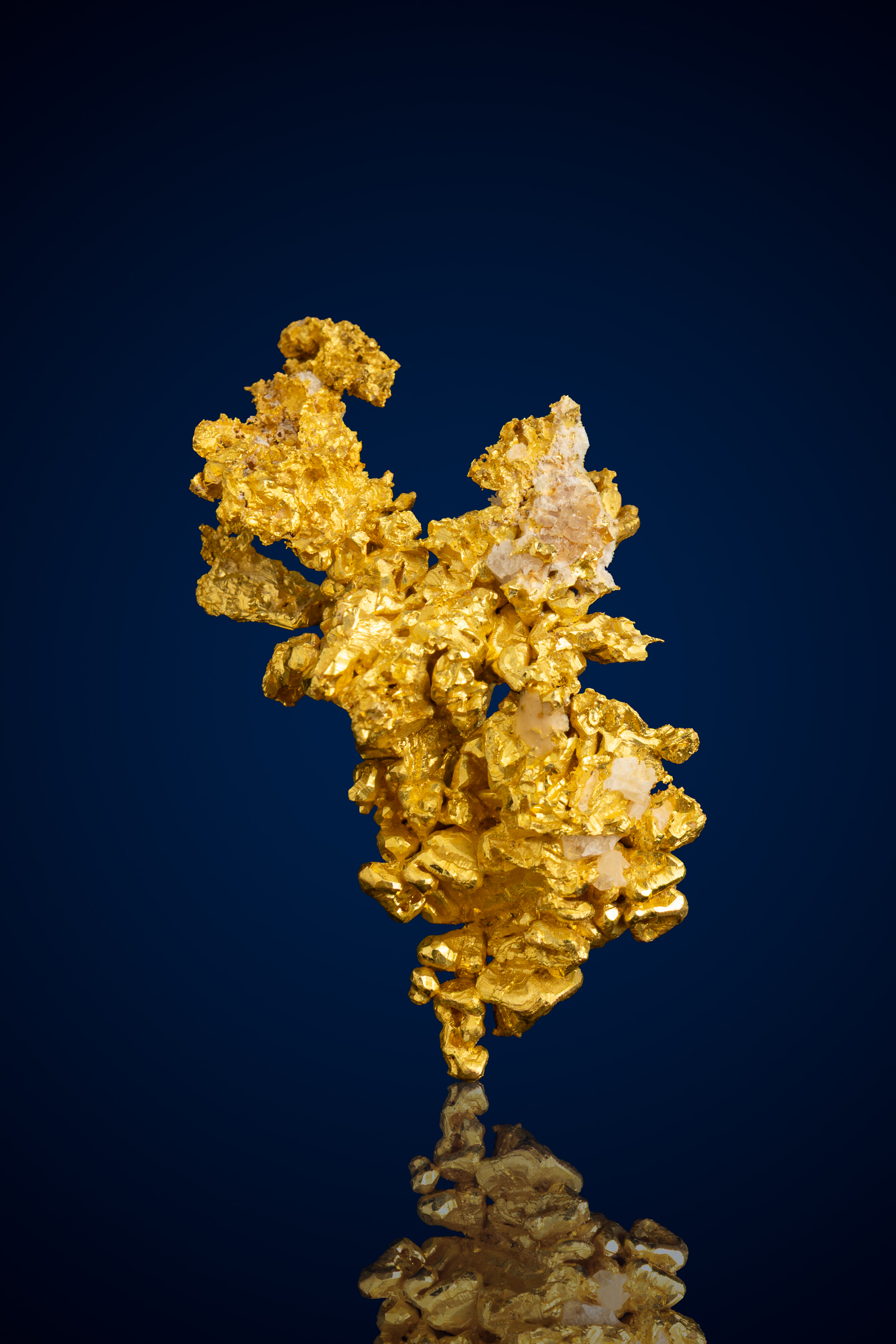 (image for) Brilliant, Organic Natural Gold Nugget with Quartz - Eagle's Nest Gold Mine, CA - 13.41 grams
